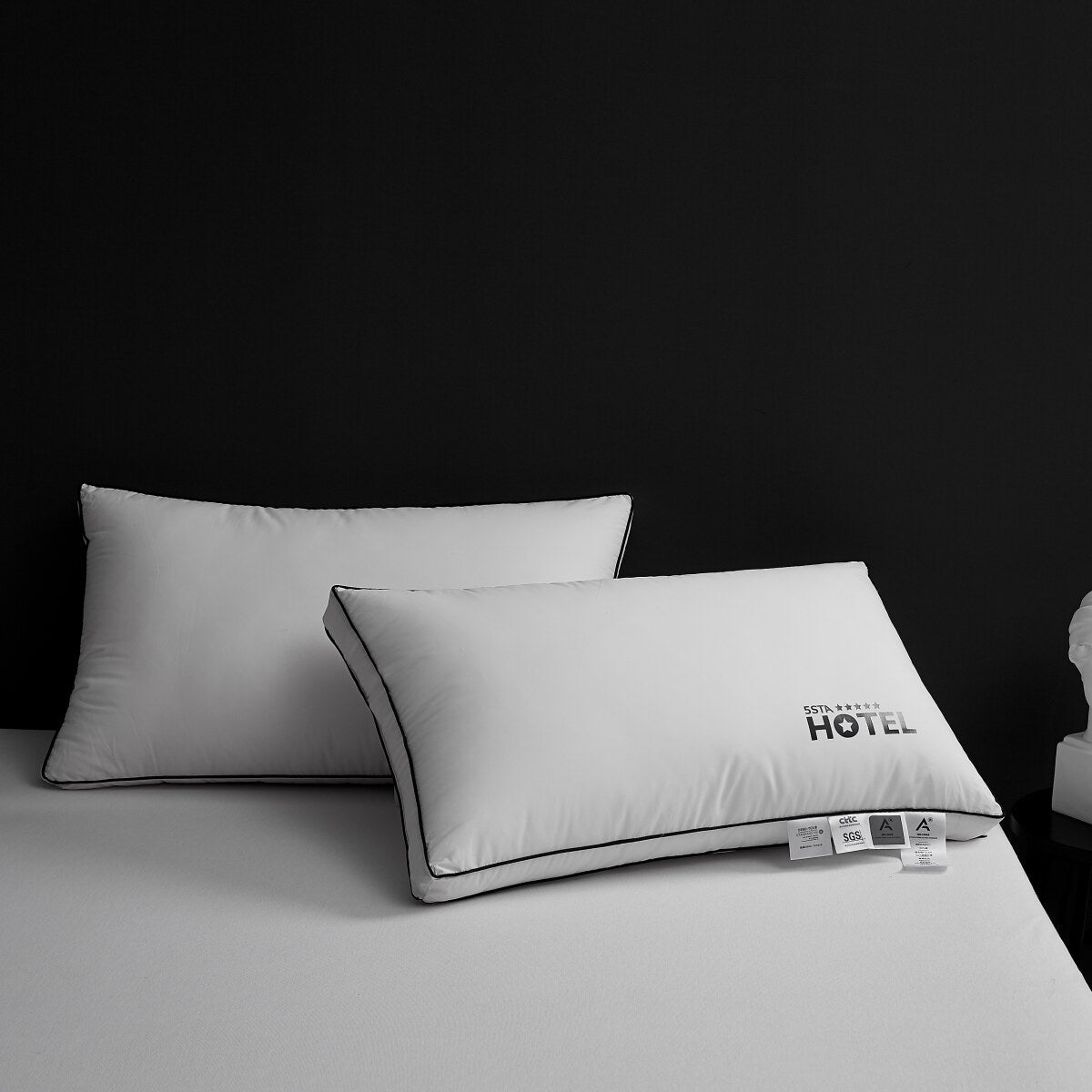 100% Cotton Five Star Hotel Pillow 2 Pack Set-3